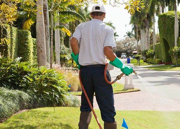 About Greeley KS Pest Control